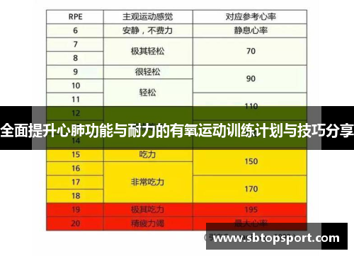 全面提升心肺功能与耐力的有氧运动训练计划与技巧分享